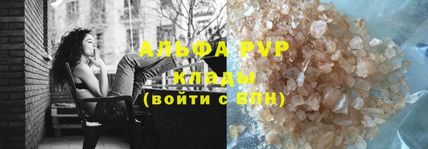 прущие грибы Абинск
